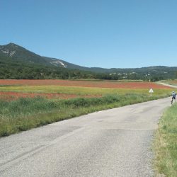 A CHAQUE CYCLISTE SON TERRAIN DE JEU